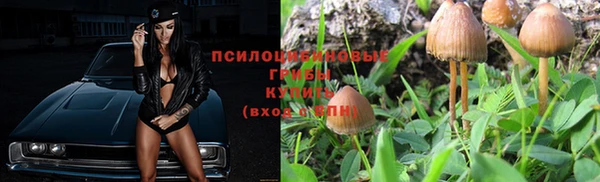 гашик Верхний Тагил
