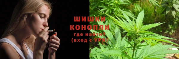 СК Верея
