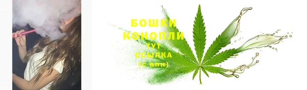 СК Верея