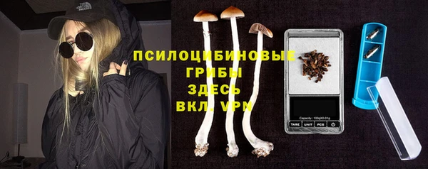 СК Верея