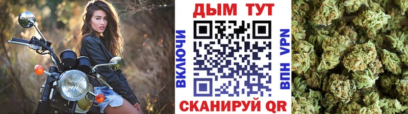купить закладку  Каменск-Уральский  Конопля сатива 